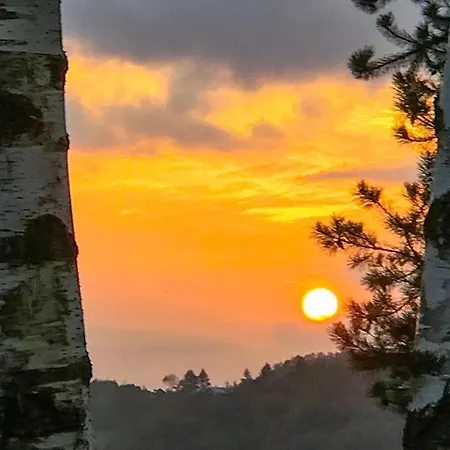 Sliczny Z Sauna * Borzestowo