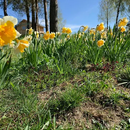 śliczny Z Sauną Willa Borzestowo