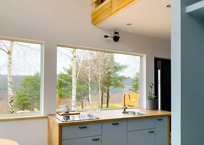 Willa śliczny Z Sauną Borzestowo