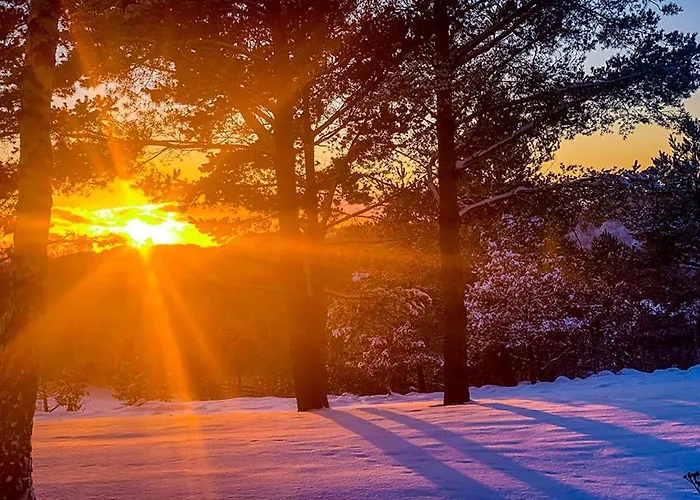 Willa śliczny Z Sauną