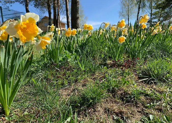 śliczny Z Sauną Willa Borzestowo